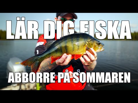 Video: Hur man sover med en snarkningspartner: 10 steg