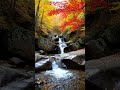 If Peace Had a Sound… This Would Be It 💧🍂 #WaterSounds #RelaxingReels #AutumnVibes