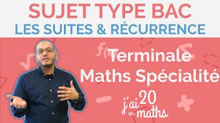 Suites et Récurrence - Sujet Type Bac 2024 - Terminale Maths Spécialité screenshot 4