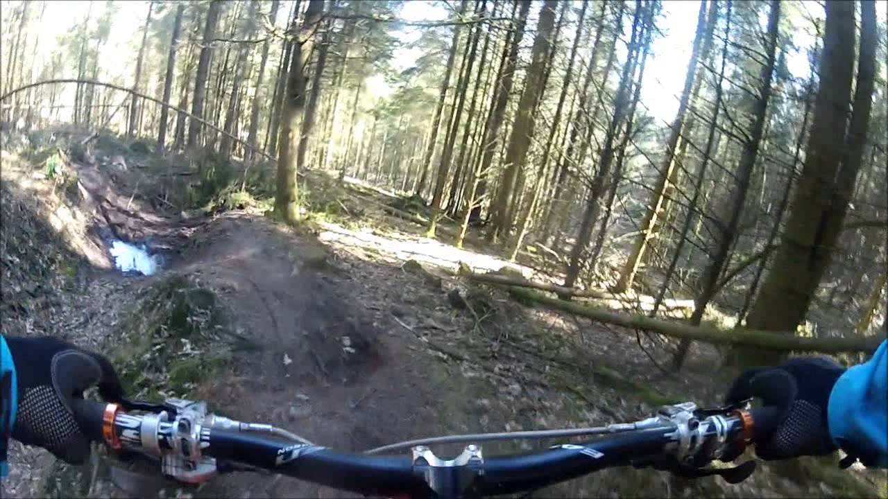 Quantocks Greatwood Singletrack