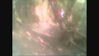 Torn Freestone   3 26 11 O45 Intermediate