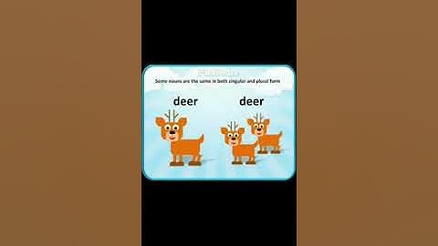 Class 1 English Grammar Chapter 5-One and more than one