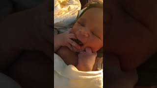 Choti Pari 19 Dec 22. 11.55 Pm4