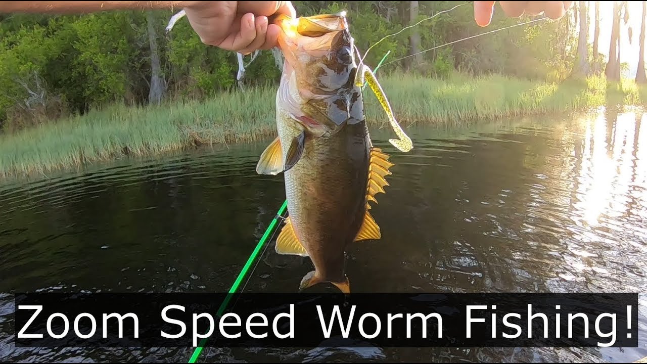 Bass Fishing! Zoom Speed Worm!