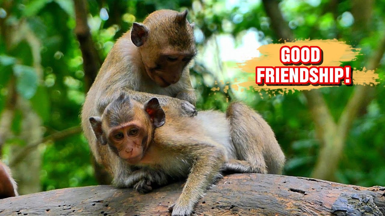 So Sweet! Friendship Makes a Beautiful Relationship,