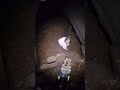 K9 finds missing little girl (POLICE POV)