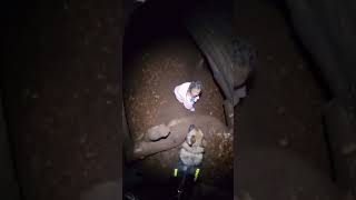 K9 finds missing little girl (POLICE POV)