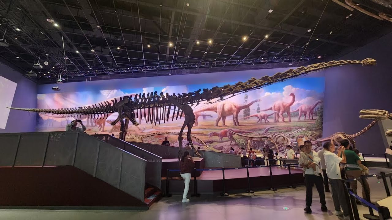 4K Walking Tour 成都自然博物馆 Chengdu Natural History Museum