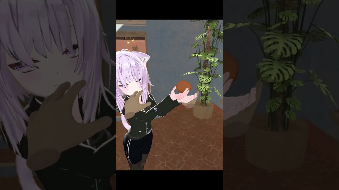 The true Viva experience... 