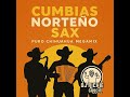 Cumbias Norteño Sax - Puro Chihuahua Megamix by DJ Richie García