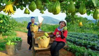 Harvest Custard Apples, Chayote, Kale With My BrotherTo Sell At The Market – Cook\u0026 Care For The Farm