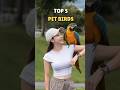 Top 5 Pet Birds People Love to Keep at Home! 🐦✨ #shorts #youtubeshorts #facts