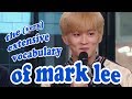 intro to mark lee's vocabulary