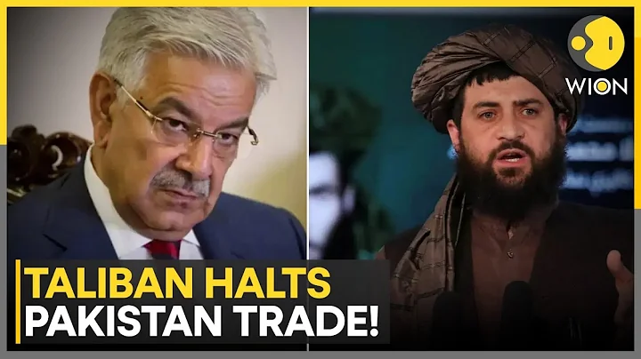 Afghan-Pak: Afghanistan Loses $200 Million Monthly as Taliban Halts Pakistan Trade | WION