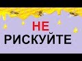 Не рискуйте скармливать пчелам в зиму центробежный мед