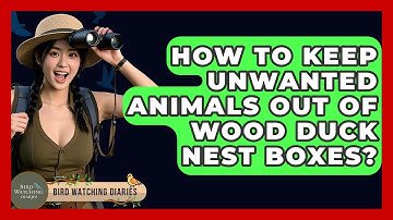How To Keep Unwanted Animals Out Of Wood Duck Nest Boxes? - Bird Watching Diaries