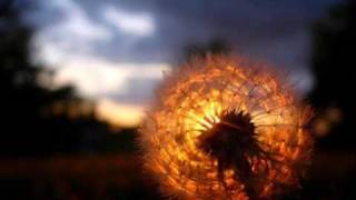 Dejan Pavlovic - Dandelion (original mix)