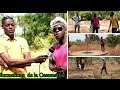 Casamance visite  agnack  la rencontre de matar gomis un jeune entrepreneur agricole