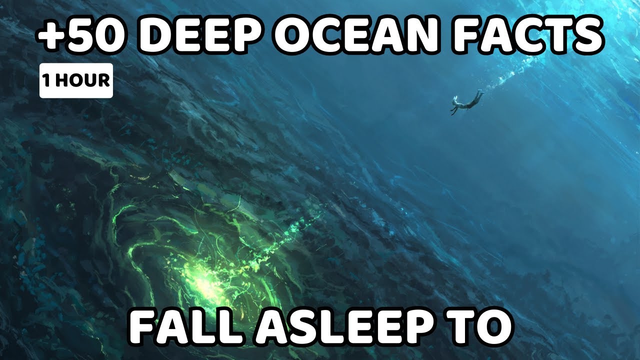 50+ Relaxing Facts About the Deep Ocean to Fall Asleep To | 1 Hour of Calm