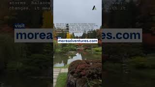 Life Lessons from the Seattle Japanese Garden