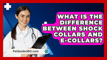 What Is the Difference Between Shock Collars and E-Collars? - PetGuide360.com