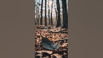 ولا تكونوا كالذين نسوا الله - سورة الحشر -
