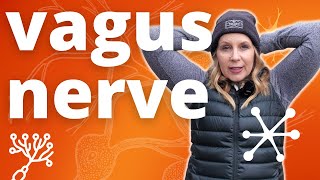 The Secret Behind the Vagus Nerve Reset