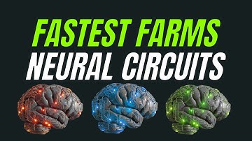 Fast Farms - Neural Circuits | The First Descendant