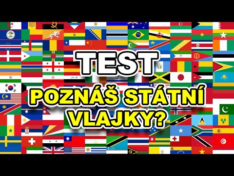 Video: Zastavte cokoli děláte a sledujte tento šílený hudební video představující pouze psy