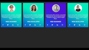 How To Website Team Member Section in HTML CSS