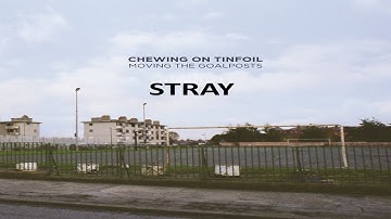 Stray - CHEWIE