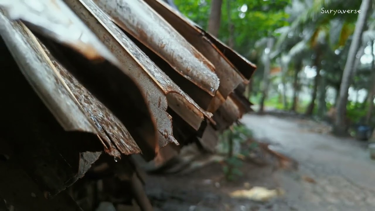 Rain drops falling in slow motion | 4k satisfying video | Nature lover - suryaverse