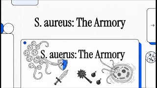 STAPHYLOCOCCUS AUREUS 