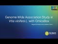 Webinar: Genome-Wide Association Studies in Vitis vinifera L. with OmicsBox