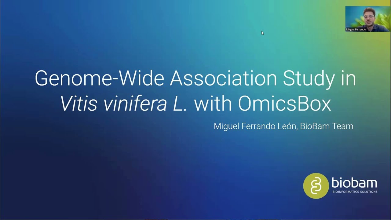 Webinar: Genome-Wide Association Studies in Vitis vinifera L. with OmicsBox