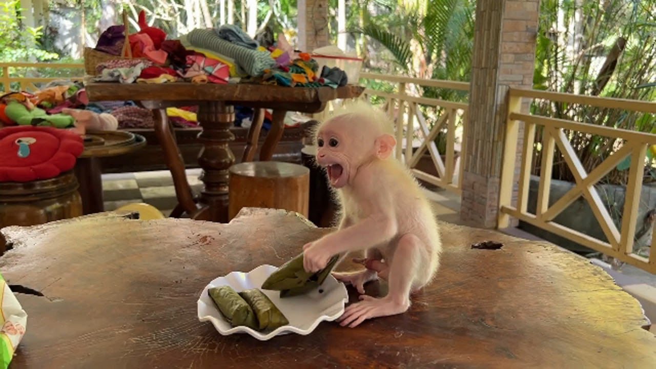 Pavpav Refuse To Eating Stricky Rice But He Ask Mom For Fruity