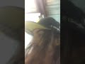 Hippie flipping brief introduction
