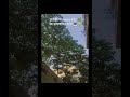 leaves in office#trending #leaves #corporate #office #instareels #trending #viralvideos #shortsviral