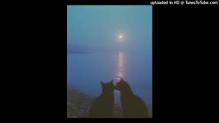 untitled23 - Empty Hearts Make The Loudest Echoes