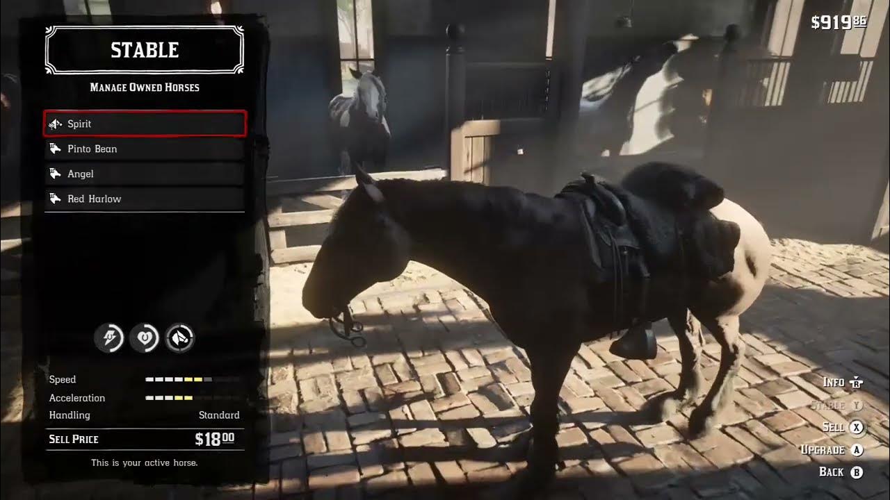 All my horses in RDR2 YouTube