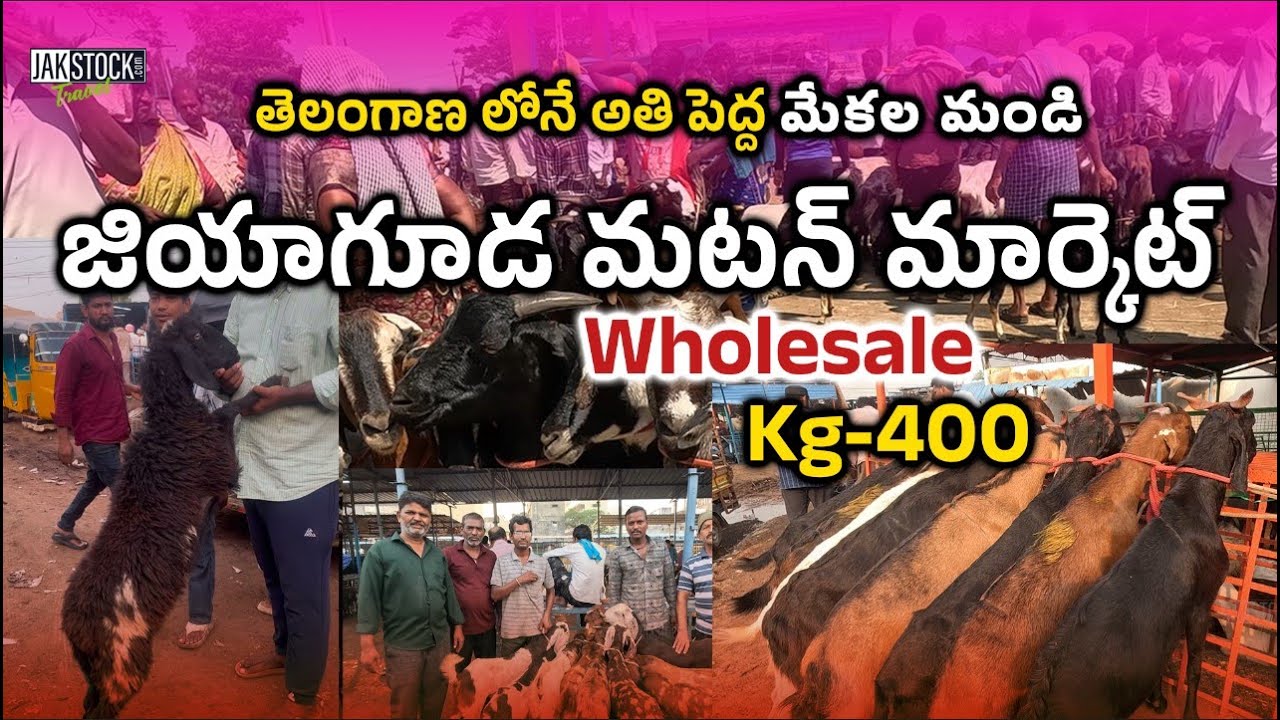 జియాగూడ మటన్ మార్కెట్ | Whole sale Biggest Mutton Market in Hyderabad | Telangana | JakstockTravel