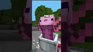 Minecraft Action and Stuff BEST FEATURES!? #shorts
