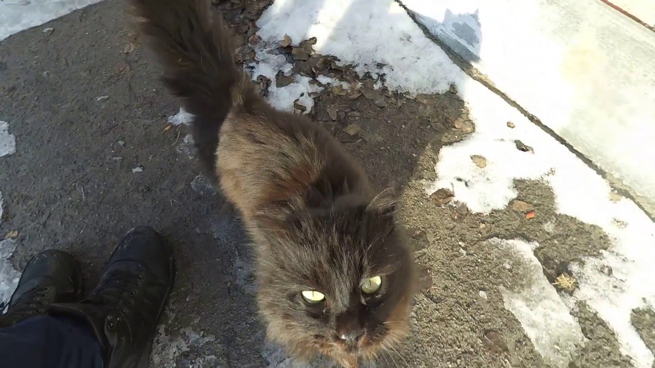 Video test- Xiaomi Action Camera basic edition