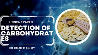 biology first lesson part 3: detection of carbohydrates. بيولوجي اولى ثانوي: الكشف عن الكربوهيدرات