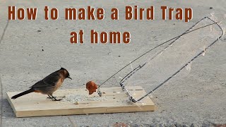DIY-How to make a Bird Trap at home | Homemade Best Bird Trap work 100% | DIY for Birds