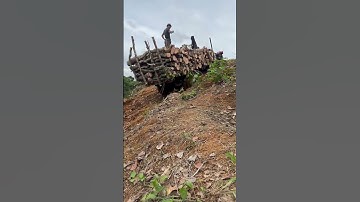 xe công nông hai câu chở gỗ quá khỏe #automobile