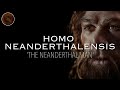 Homo Neanderthalensis: 