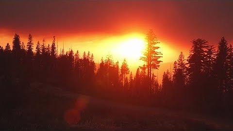 California Wildfires | More than 3,000 firefighters continue to battle the Mosquito Fire