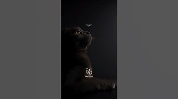 أرح قلبـك قليلاً 😴🎧 عبدالرحمن مسعد 😴🎧 تلاوة خاشعة قرآن كريم