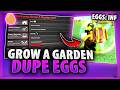 *NEW* Grow A Garden Script With DUPE EGGS, INFINITE BEST EGGS (KEYLESS PASTEBIN 2026)